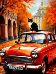Чёрный кот сидит на красной машине Питер
