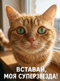 Рыжий кот с зелёными глазами и надписью на фоне окна